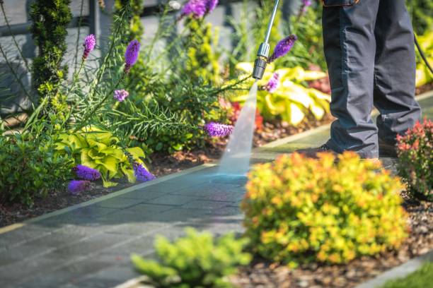 Best Roof Cleaning and Mildew Removal in Assumption, IL