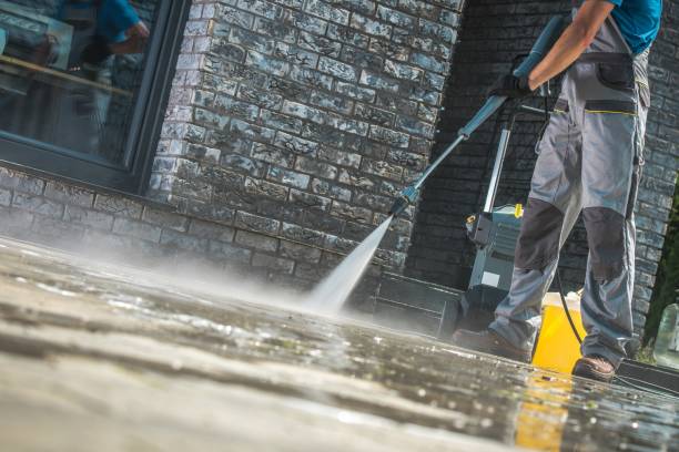 Best Brick and Stone Cleaning in Assumption, IL