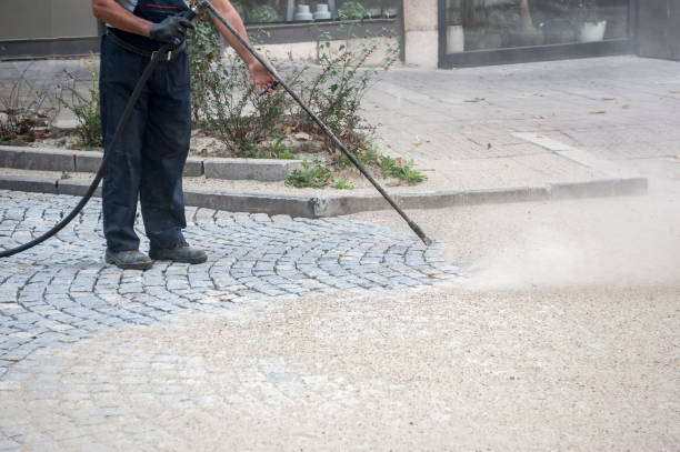 Best Gutter Cleaning and Brightening in Assumption, IL
