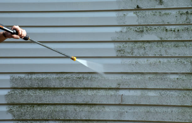 Best Driveway Cleaning and Restoration in Assumption, IL